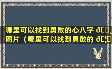 哪里可以找到勇敢的心八字 🕸 图片（哪里可以找到勇敢的 🦉 心八字图片呢）